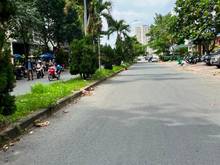 Hình ảnh Duy nhất 1 lô đất đường Hoàng Hữu Nam, Long Thạnh Mỹ, quận 9. Dt 90m2.