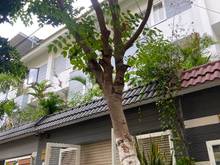 Hình ảnh Bán Biệt Thự - 170M2 - 2 Tầng - Tô Ngọc Vân - Linh Chiểu - Thủ Đức