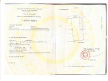 Hình ảnh Đất 3000m2 Chính Chủ bán 1Tr/m2 xã Tân Thạnh Đông, Củ Chi. HCM