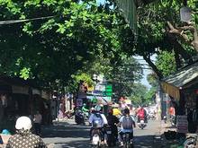Hình ảnh Nhà Mặt tiền Quận 12, 100m2-3 Tầng. Thuận tiện Kinh doanh
