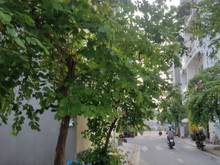 Hình ảnh Đất Thổ cư nhà ở, Tân Quý Tân Quý, Bình Tân.