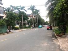 Hình ảnh Cho thuê Mặt Bằng, Đặng Đức Thuật , PMH, Q.7, TP. HCM