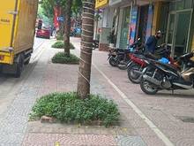 Hình ảnh VỠ NỢ - CẦN BÁN GẤP NHÀ Gần Cầu VĨNH TUY-Long Biên-Kinh doanh- Vỉa hè