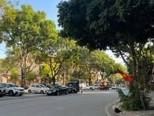 Hình ảnh Bán Nhà Phố Bùi Huy Bích, Gần ubnd, Ô Tô, Kinh Doanh, Tự Xây, TâmHuyết