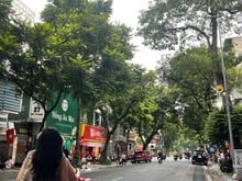 Hình ảnh (HIẾM) Bán mảnh đất siêu đẹp mặt phố Nguyễn Bỉnh Khiêm,162m2, 97 tỷ