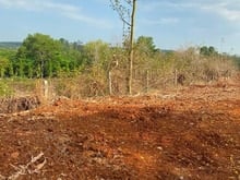 Hình ảnh Bán Đất Bà Rịa  Vũng Tàu, Huyện Châu Đức