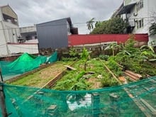 Hình ảnh Quyết Tiến Vân Côn chính chủ cần bán mảnh đẹp đường oto 16