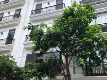 Hình ảnh Nhà đẹp như mơ giữa phố – View vườn, nội thất xịn, bước vào là muốn ở
