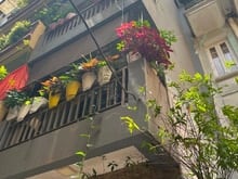 Hình ảnh Chính chủ bán nhà phân lô Hoàng Quốc Việt, Cầu Giấy. 48.2m2x5T Ô tô.