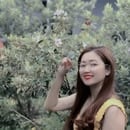 Miss Thảo