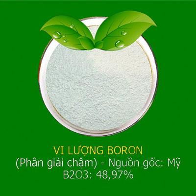 Nguyễn văn Tâm
