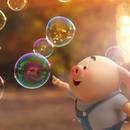 CHERRY TRANG