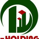 D Holdings