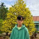 Trần Thành Tài