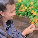 Nguyễn Tâm