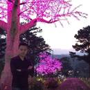 Đại Bảo