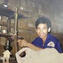 Lý Nguyễn
