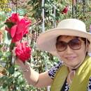 Hoa Trương