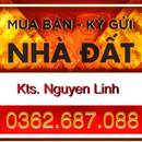 Nguyễn Linh