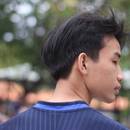 Tân phan