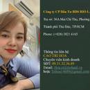Cao Tri Hoa