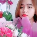 Liễu Liễu