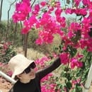 Lâm Hoàng Phương