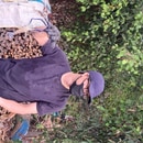 Lê Thành Khởi