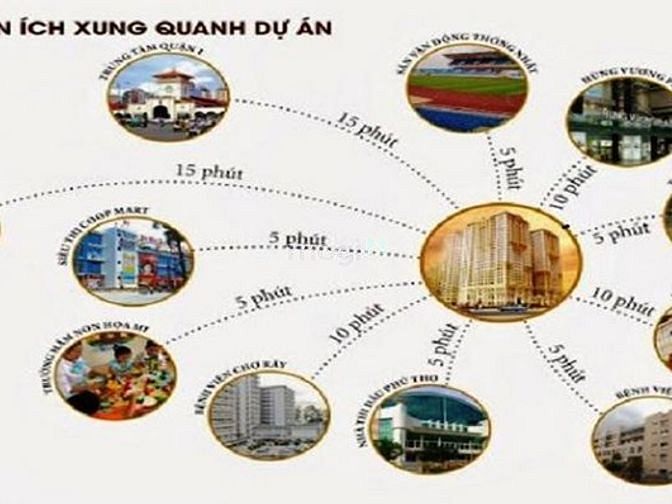 XI Grand Court