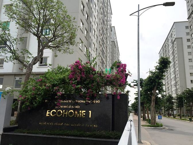 Ecohome 1