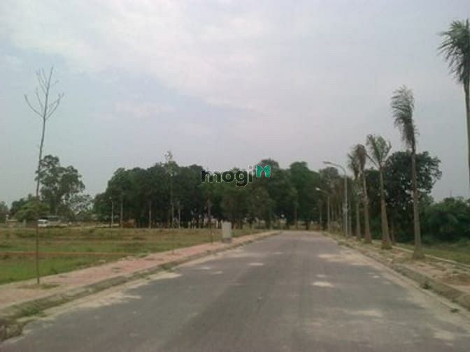Khu đô thị Chi Đông