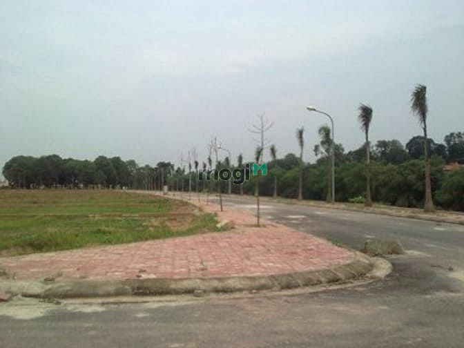 Khu đô thị Chi Đông
