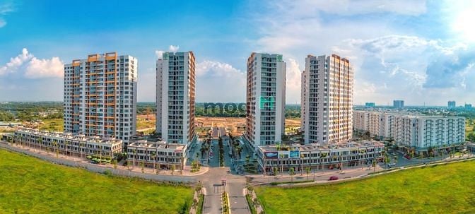 Mizuki Park