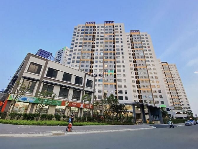 Mizuki Park