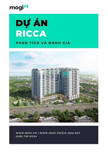 Phân tích dự án Ricca