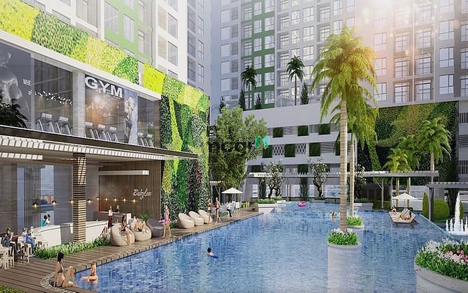 Charmington Iris