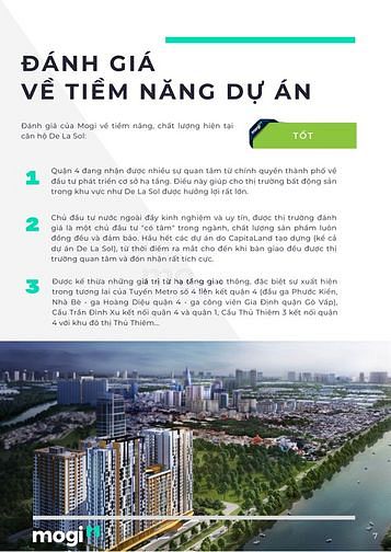 Phân tích dự án De La Sol