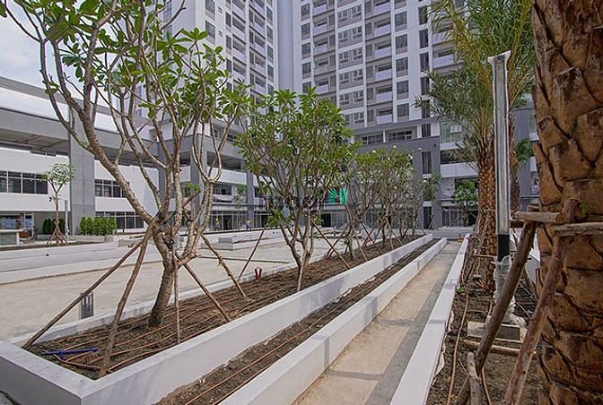 Q7 Boulevard