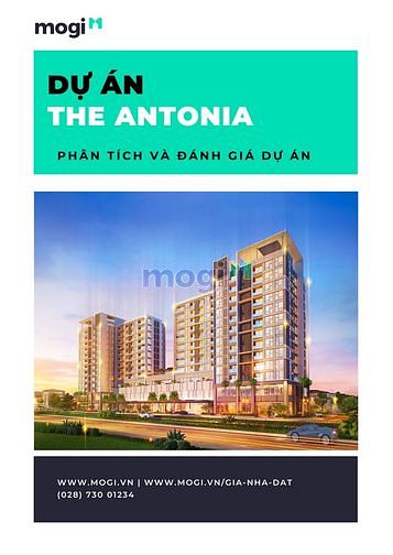 Phân tích dự án The Antonia