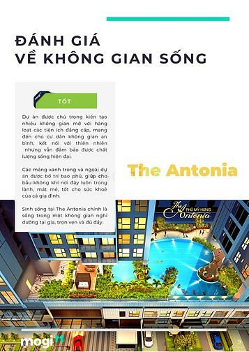 Phân tích dự án The Antonia
