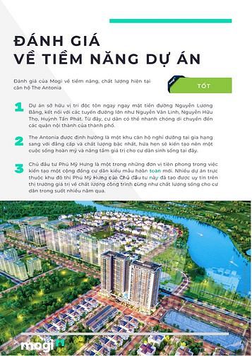 Phân tích dự án The Antonia