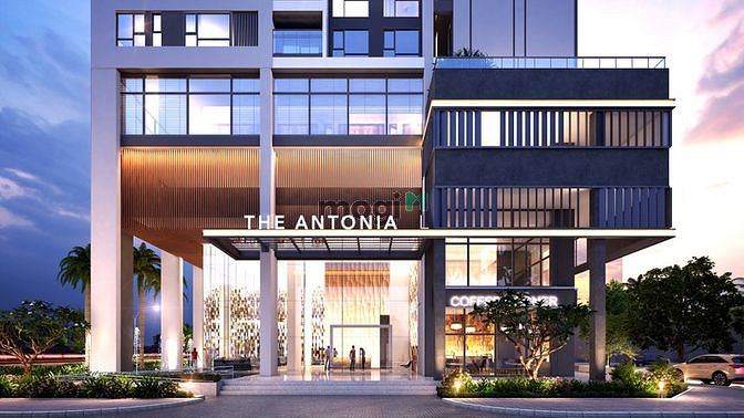 The Antonia