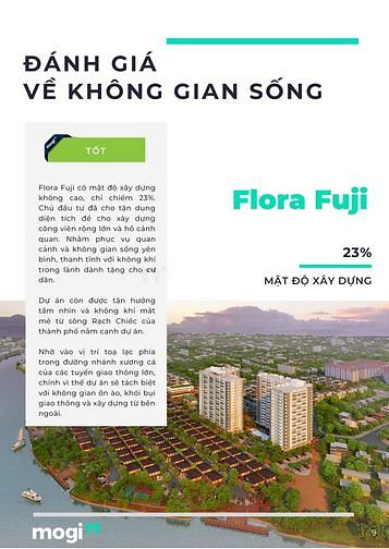 Phân tích dự án Flora Fuji