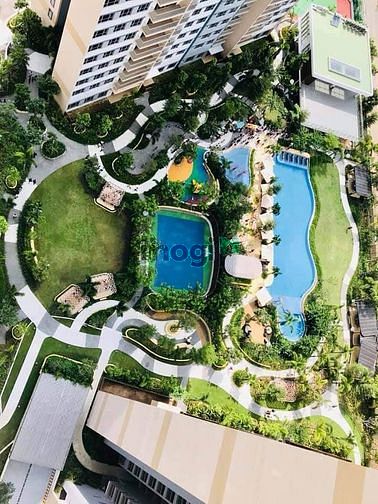 Palm Heights