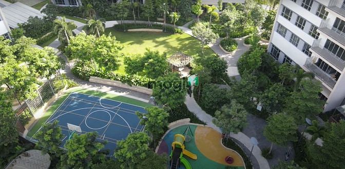 Palm Heights