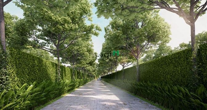 Ascent Garden Homes