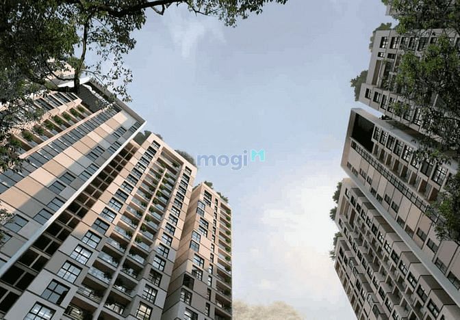 Ascent Garden Homes