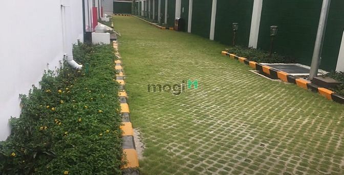 Green Field 686