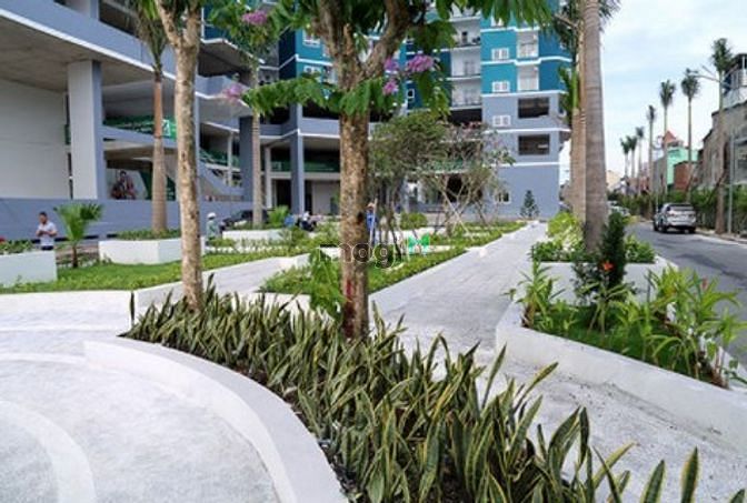8X Đầm Sen