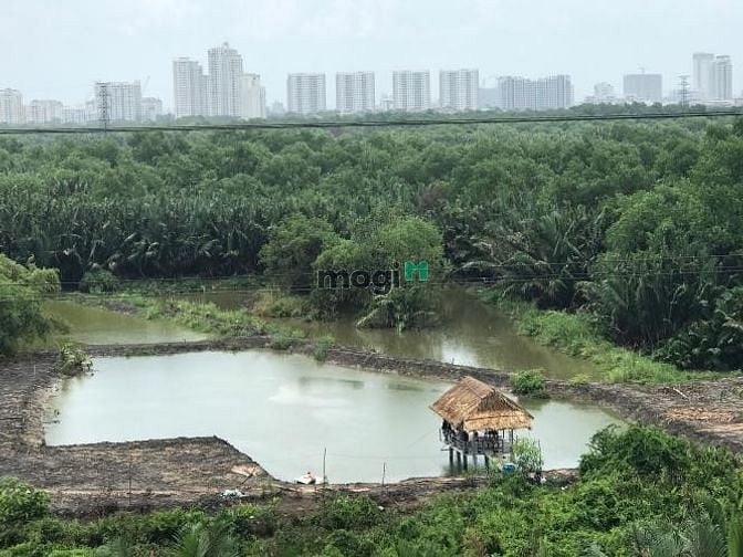 Dragon Hill Residence and Suites 2